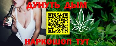 сатива Кунгур